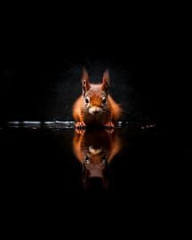 Aesthetic minimalism