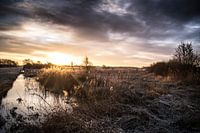 Die Unkrautbekämpfung