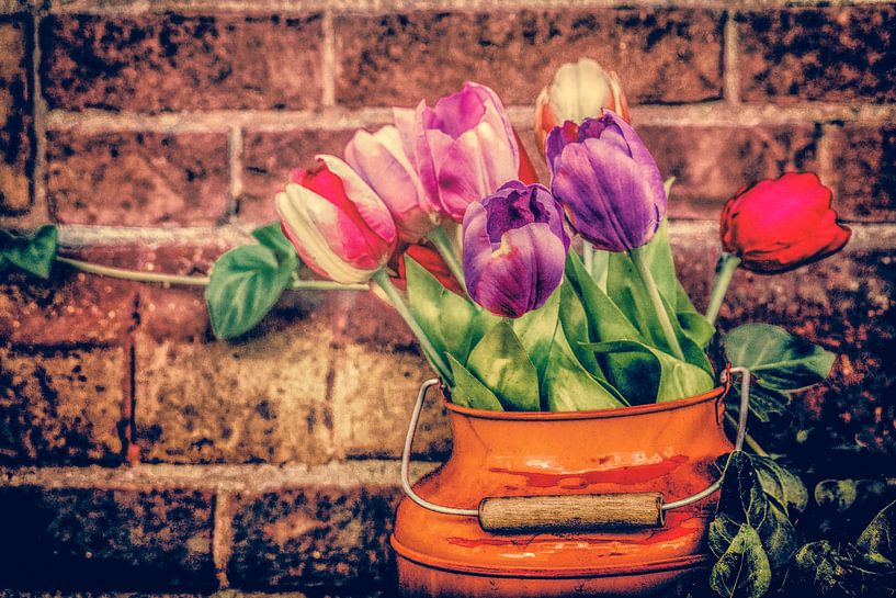 Tulips in the bucket by Freddy Hoevers