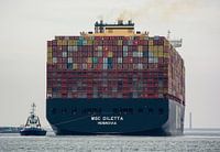 Sleepboot Beagle assisteert Containerschip MSC Diletta op de tweede Maasvlakte.