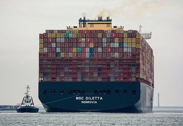 Sleepboot Beagle assisteert Containerschip MSC Diletta op de tweede Maasvlakte. van scheepskijkerhavenfotografie