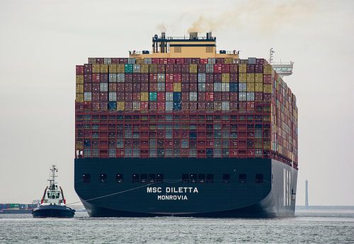 Der Schlepper Beagle unterstützt das Containerschiff MSC Diletta auf der zweiten Maasvlakte.