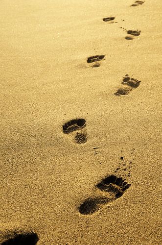 Voetafdrukken in het zand