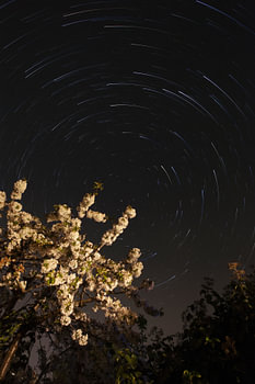Traînées d'étoiles