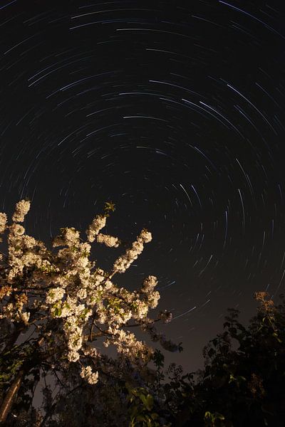 Traînées d'étoiles par Patrick van Gemert