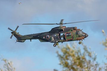 Airbus Helicopters AS-532U2 Cougar Mk.II. sur Jaap van den Berg