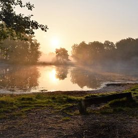 Sunrise over the misty water in the Buurserzand nature reserve by Ingrid Bargeman