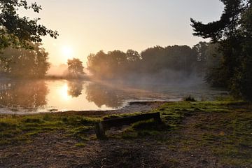 Zonsopkomst boven een mistig meertje. van Ingrid Bargeman