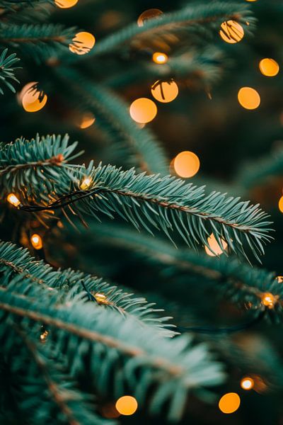 Weihnachtsbaum Lichter von Poster Art Shop