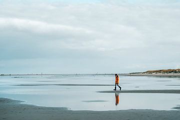 Het spiegelbeeld van Heiko Westphalen