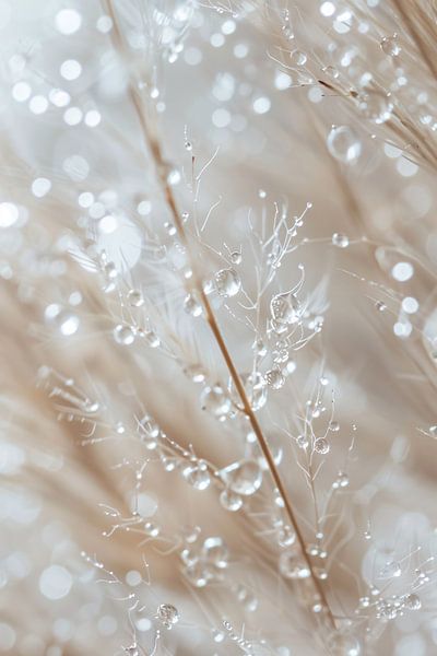 Gouttes de rosée scintillantes sur les tiges d'herbe par Imperial Art House