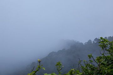 Mist trekt over de bergen