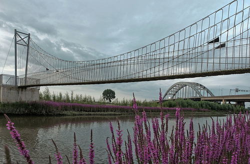 Leakage bridge Vianen with suspension bridge