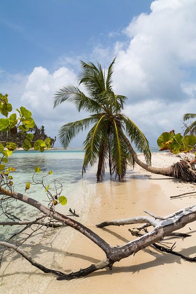 Tropisches Paradies von Peter Leenen