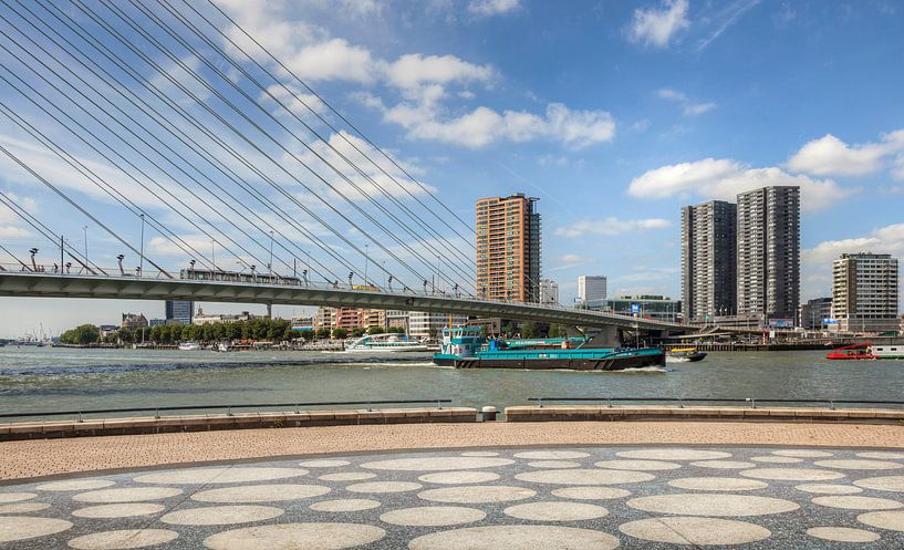 Erasmusbrug in Rotterdam van John Kreukniet