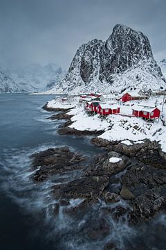 Hamnoy, Lofoten (Norwegen) von Dirk-Jan Steehouwer