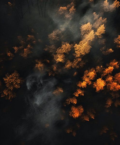 Herbststimmung von fernlichtsicht