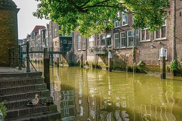 Dordrecht sur Dirk van Egmond