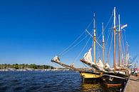 Segelschiffe auf der Warnow während der Hanse Sail in Rostock von Rico Ködder Miniaturansicht