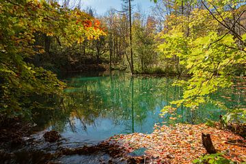 Plitvicer Seen und Wasserfälle im Oktober von Alex Neumayer