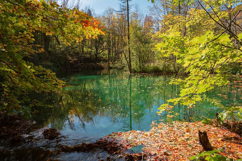 Les lacs de Plitvice et les chutes d'eau en octobre par Alex Neumayer