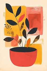 Plante minimaliste