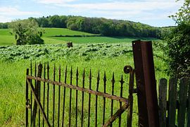 Rusty fence for meadow in South Limburg by Folkert Jan Wijnstra