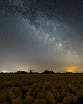 Melkweg boven het Tulpenveld bij Nacht