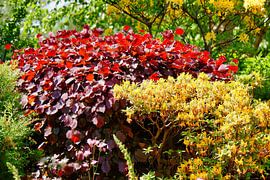 Buntes von BRONWAREN