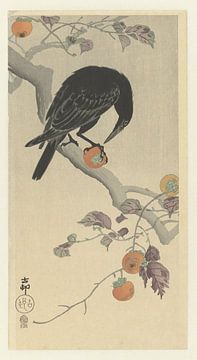 Krähe mit Kakifrucht, Ohara Koson