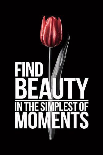 Rode tulp met inspirerende tekst