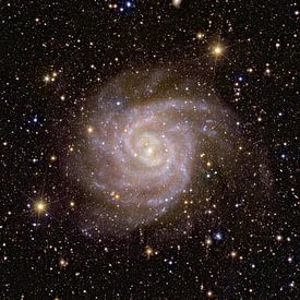 Spiral galaxy IC 342: The Hidden Galaxy by NASA and Space