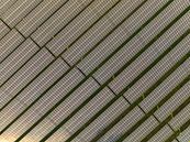 Zonnepanelen vanuit de lucht die schone duurzame elektriciteit opwekke van Sjoerd van der Wal Fotografie thumbnail
