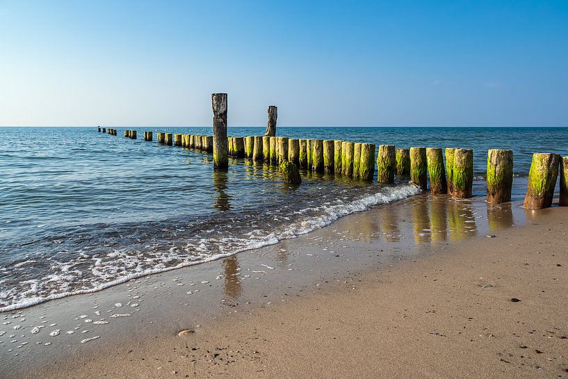 Landschap aan de kust van de Oostzee in Graal-Müritz van Rico Ködder