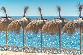 Strandleben von Caroline Drijber