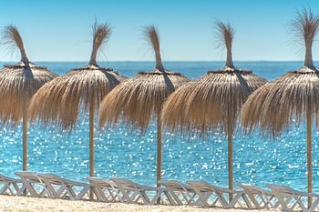 beach life
