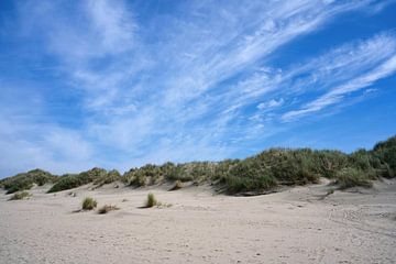 Baltrum's dunes by Anja B. Schäfer