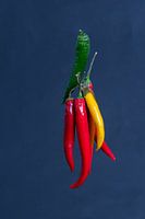 Bundle of hot peppers with different colors