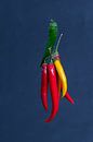 Bundeltje hete pepers met verschillende kleuren van Wim Stolwerk thumbnail