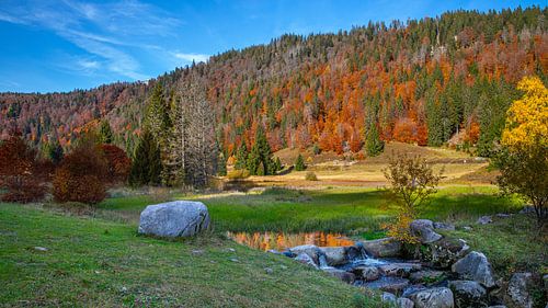 Menzenschwander Albtal im Herbst