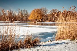 Pond Hoensbroek Castle by Rob Boon