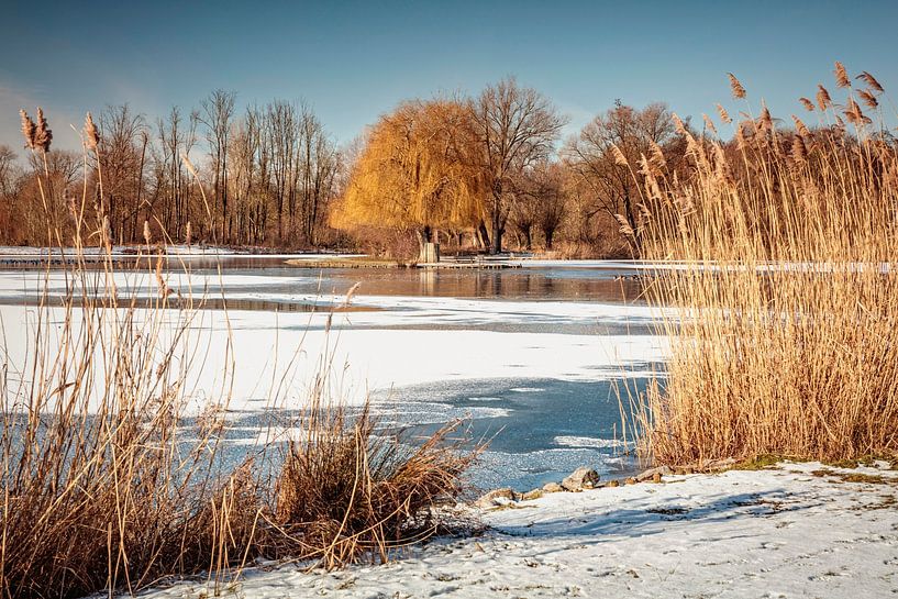 Vijver Kasteel Hoensbroek van Rob Boon