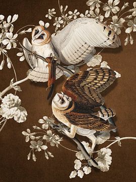 Two Barn Owls van Marja van den Hurk