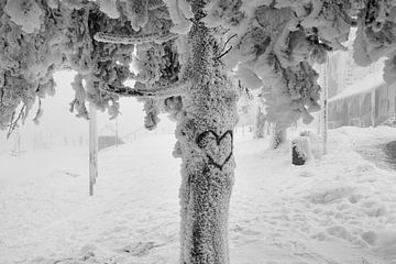 Besneeuwde boom met hart van Thomas Marx