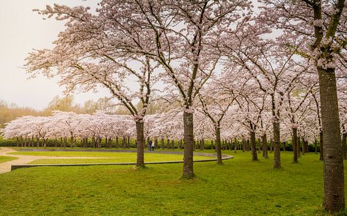 Bloesempark Amstelveen