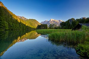 Sommerlicher Almsee