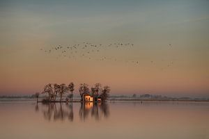 Island in the rising sun