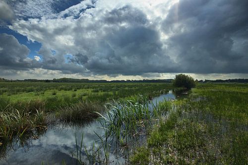 Nuages au-dessus du Beemdenbos de La Haye