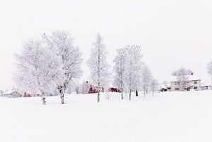 Noors winterlandschap van Adelheid Smitt