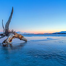polar night at Torneträsk by Arina Kraaijeveld